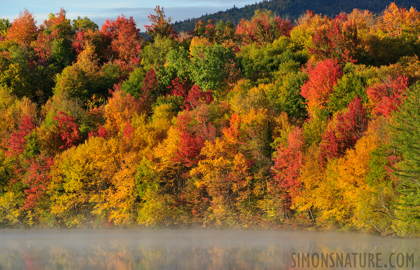 York Pond [210 mm, 1/125 sec at f / 11, ISO 400]